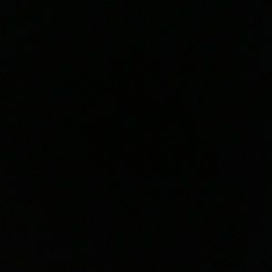 Meet your Posher, Darrell